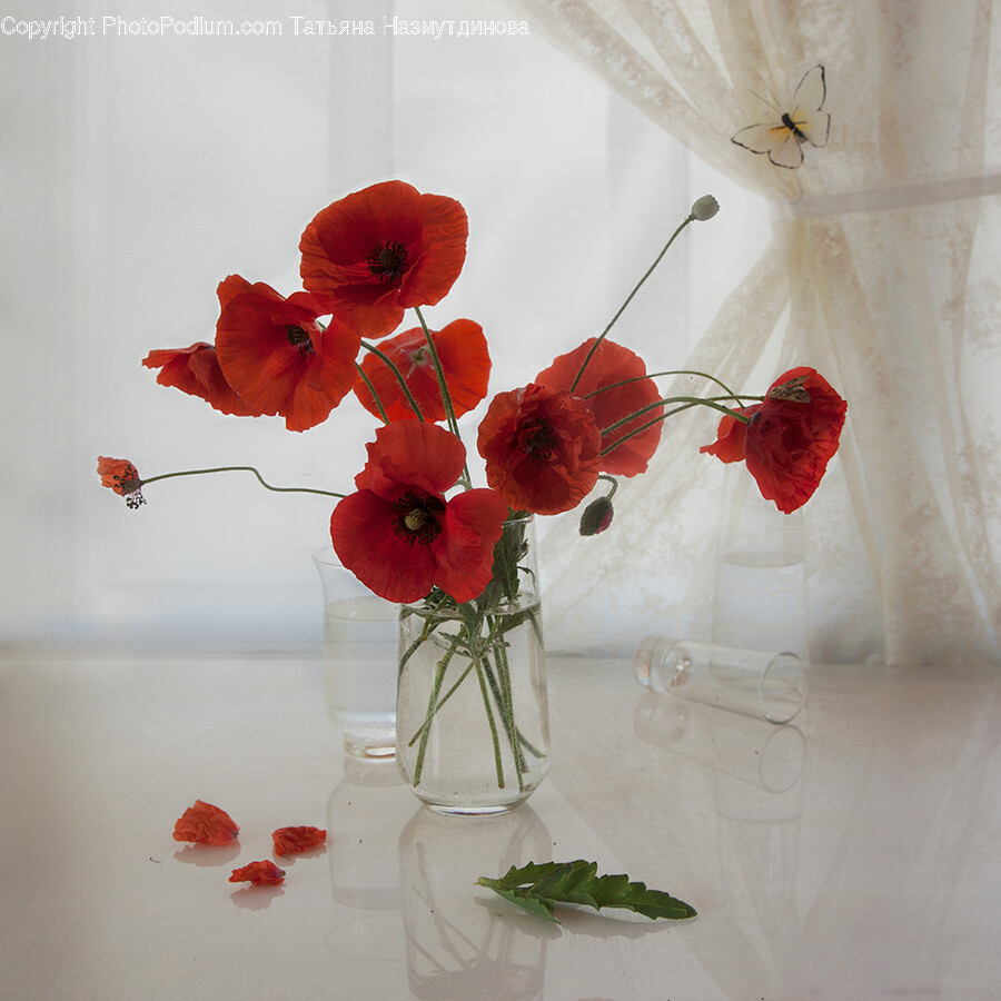 Plant, Flower, Blossom, Flower Arrangement, Ikebana