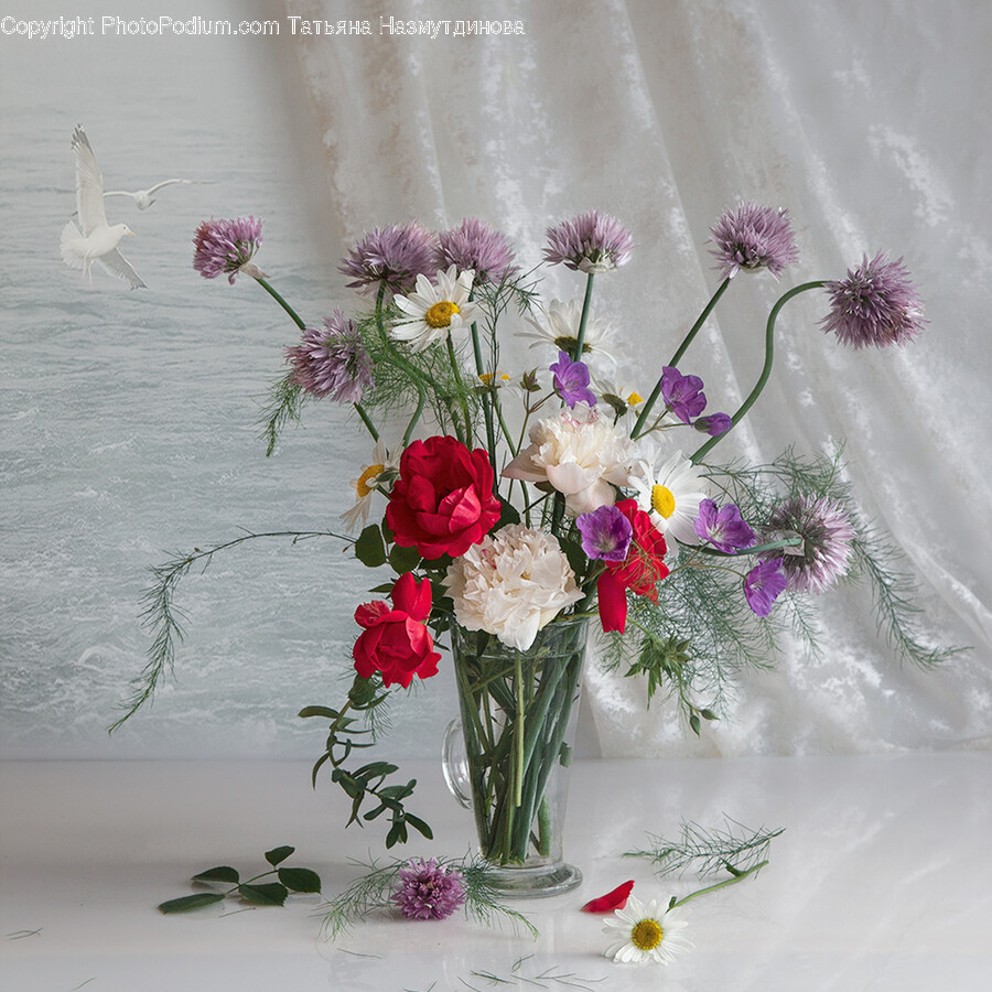 Plant, Bird, Animal, Ikebana, Ornament