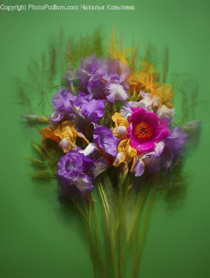 Plant, Flower Bouquet, Flower, Flower Arrangement, Blossom