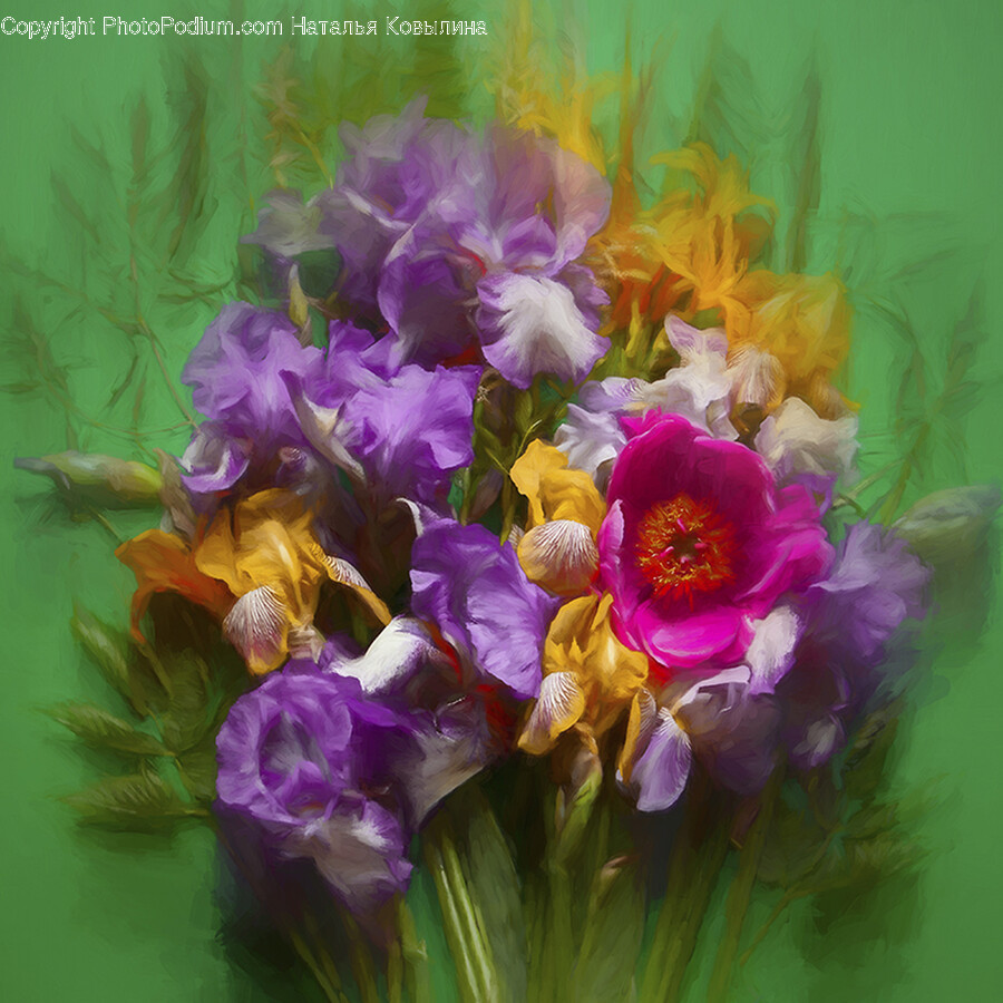Plant, Flower Bouquet, Flower, Flower Arrangement, Blossom