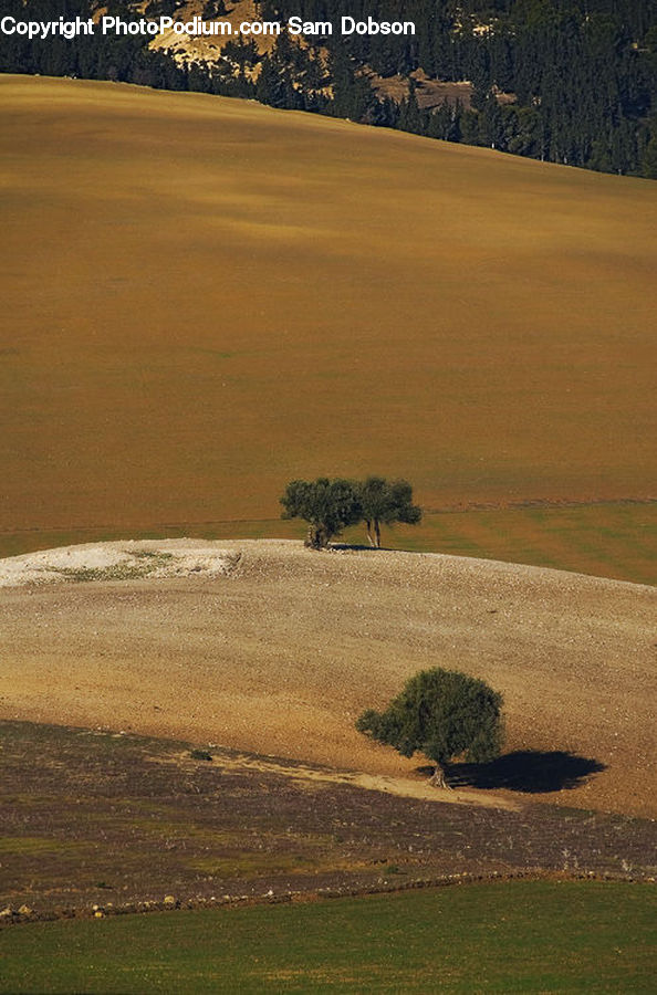 Field, Grass, Grassland, Land, Outdoors, Sand, Soil