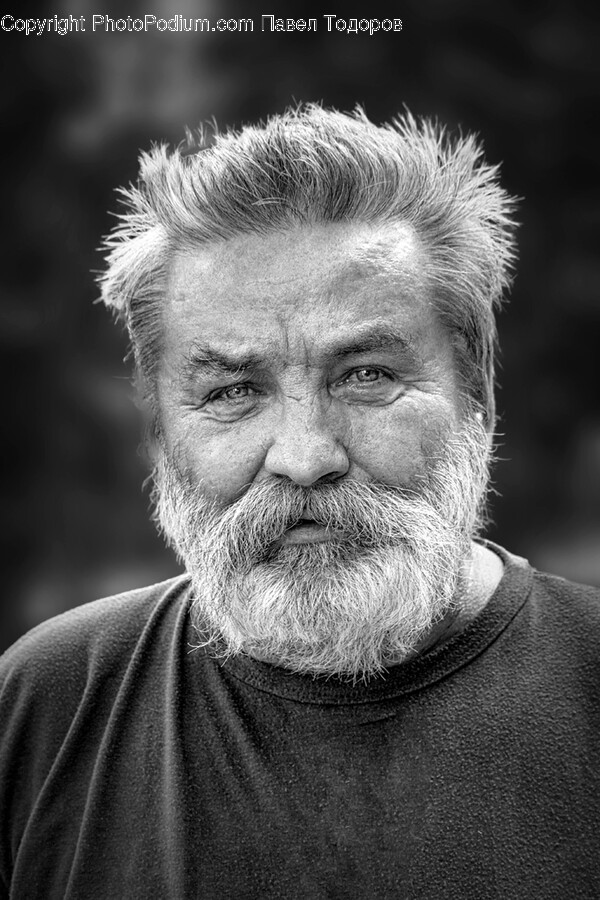 Face, Person, Human, Beard, Portrait