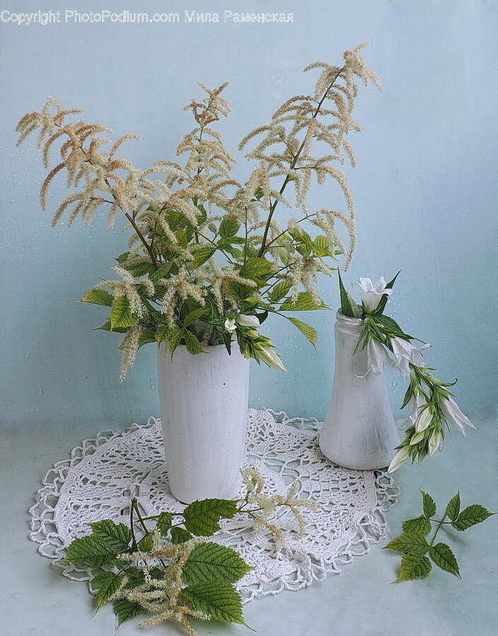 Potted Plant, Plant, Vase, Jar, Pottery