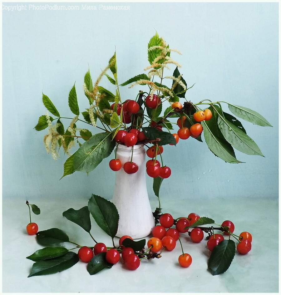 Plant, Fruit, Food, Cherry
