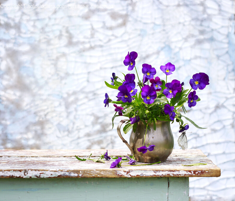 Plant, Flower, Blossom, Geranium, Flower Arrangement
