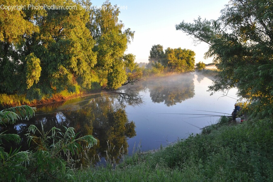 Water, Nature, Outdoors, Land, Tree