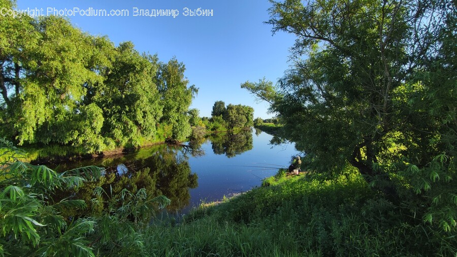 Water, Nature, Outdoors, Land, Pond