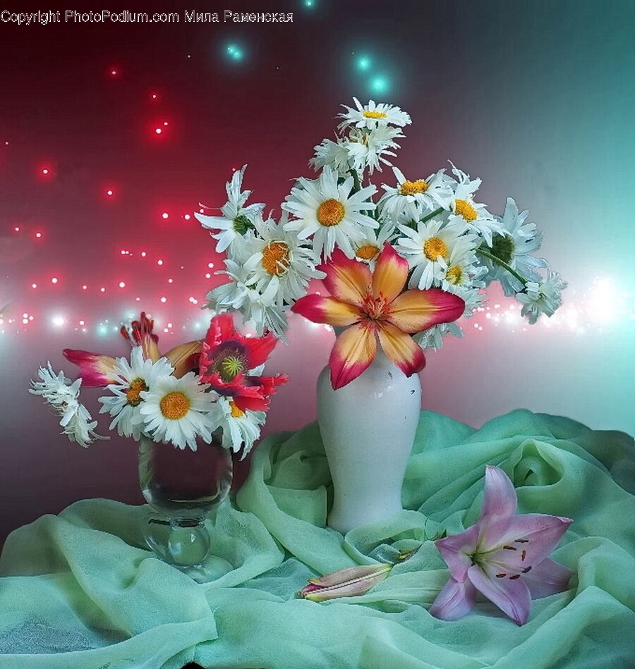Plant, Flower, Blossom, Ikebana, Ornament