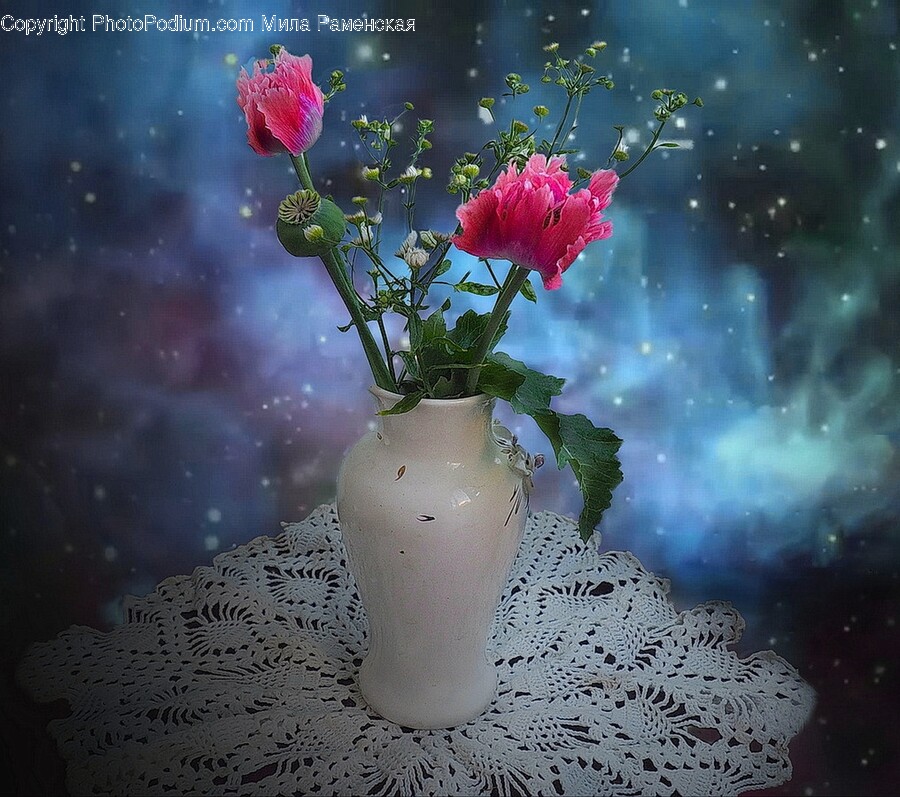 Plant, Flower, Blossom, Flower Arrangement, Ikebana