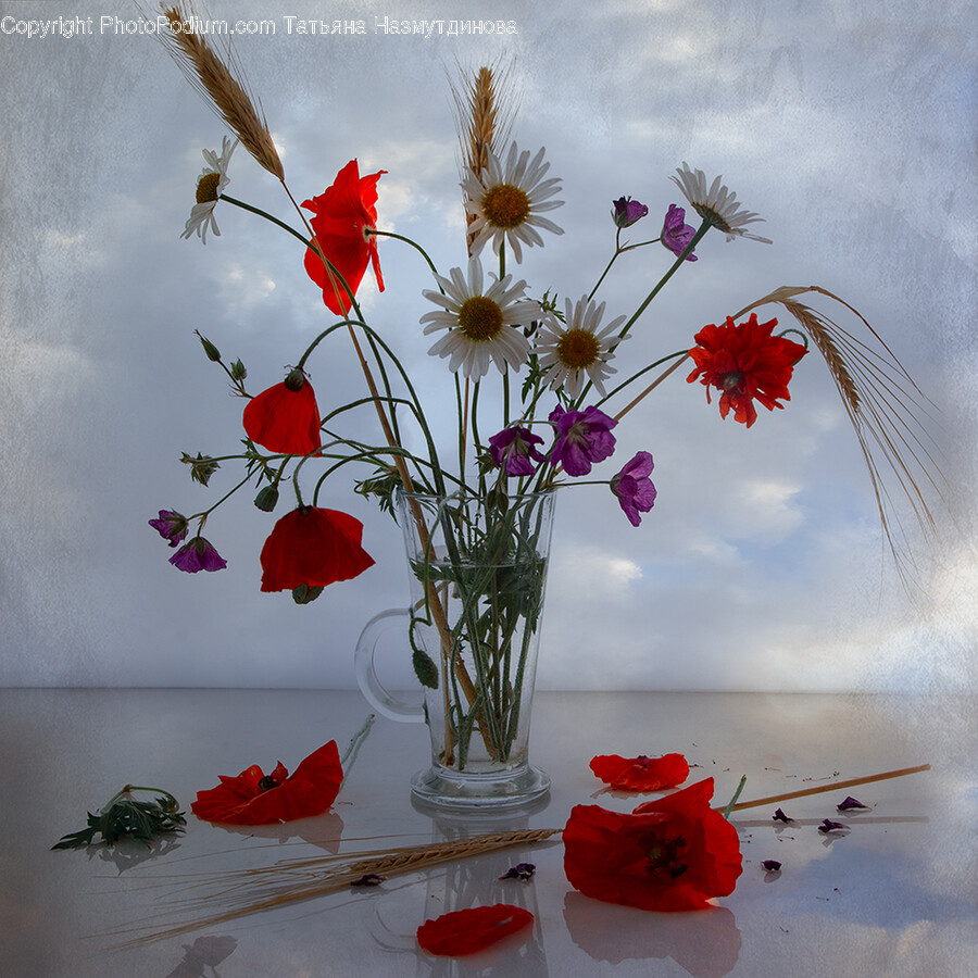 Ikebana, Plant, Vase, Jar, Flower