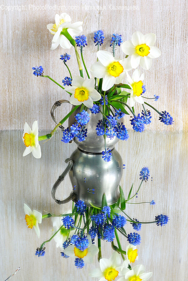 Plant, Flower, Blossom, Flower Arrangement, Flower Bouquet