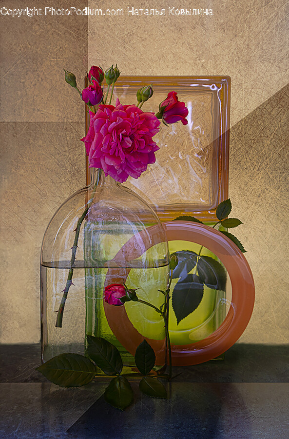 Plant, Flower, Blossom, Graphics, Art