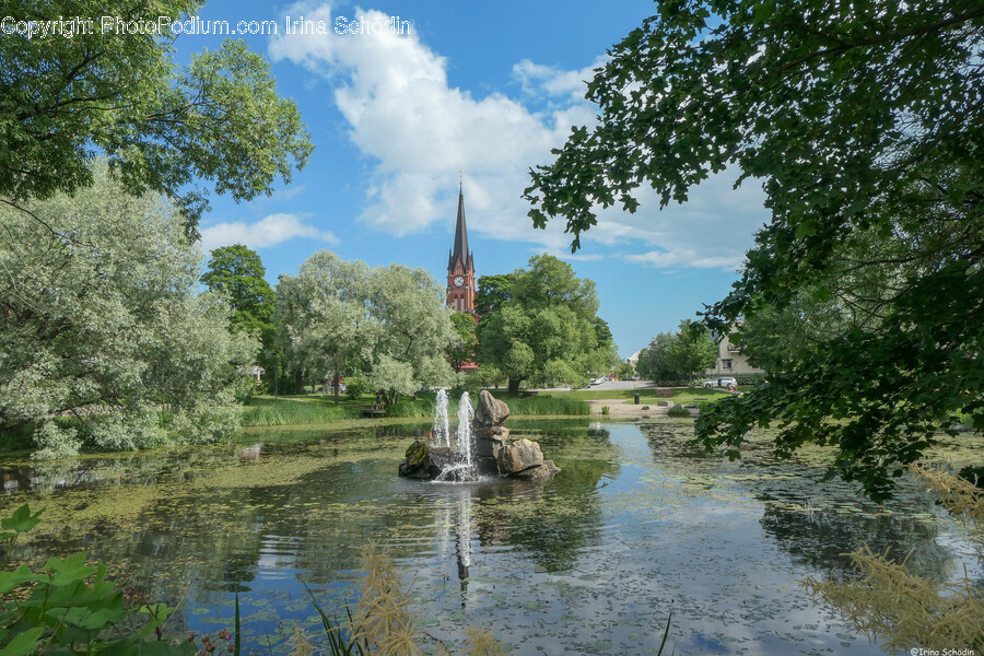Water, Nature, Land, Outdoors, Pond