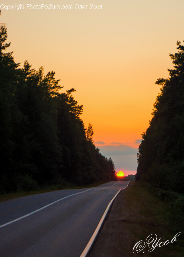 Road, Highway, Freeway, Tarmac, Asphalt
