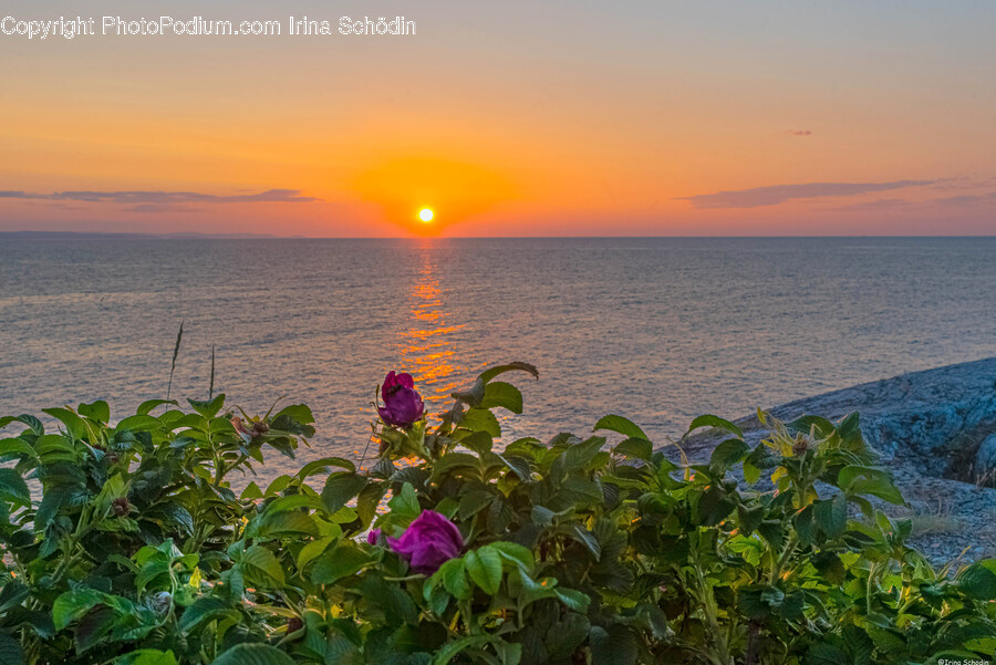 Outdoors, Sunset, Dusk, Red Sky, Dawn