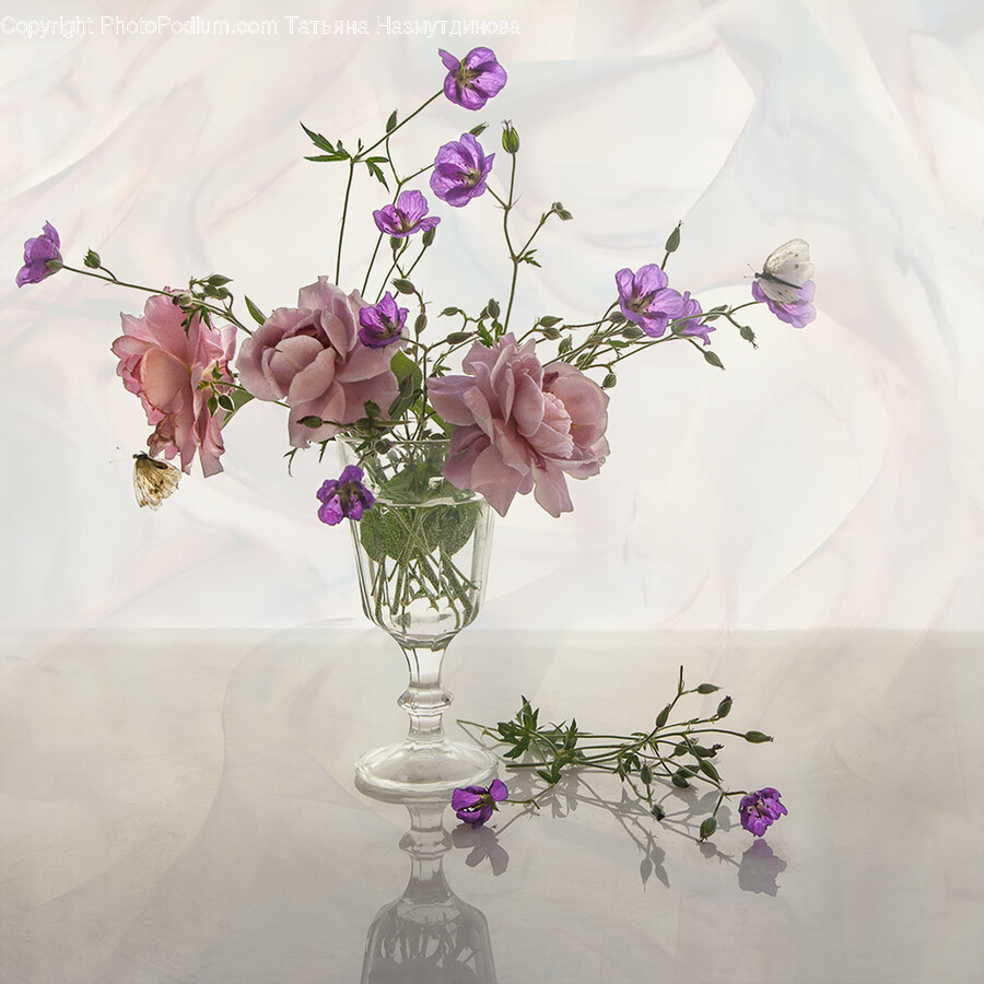 Plant, Flower, Blossom, Ikebana, Ornament
