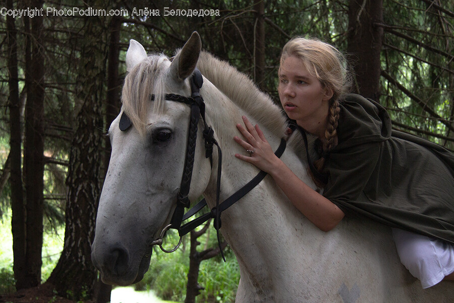 Horse, Mammal, Animal, Person, Human