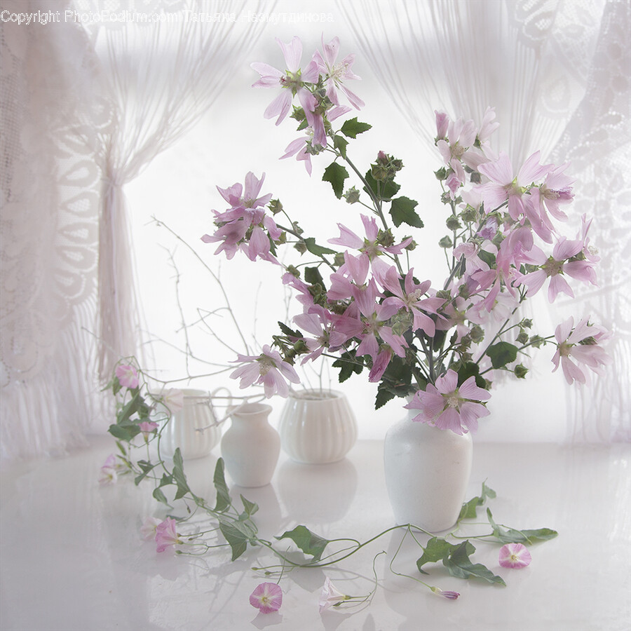 Plant, Pottery, Ikebana, Ornament, Flower