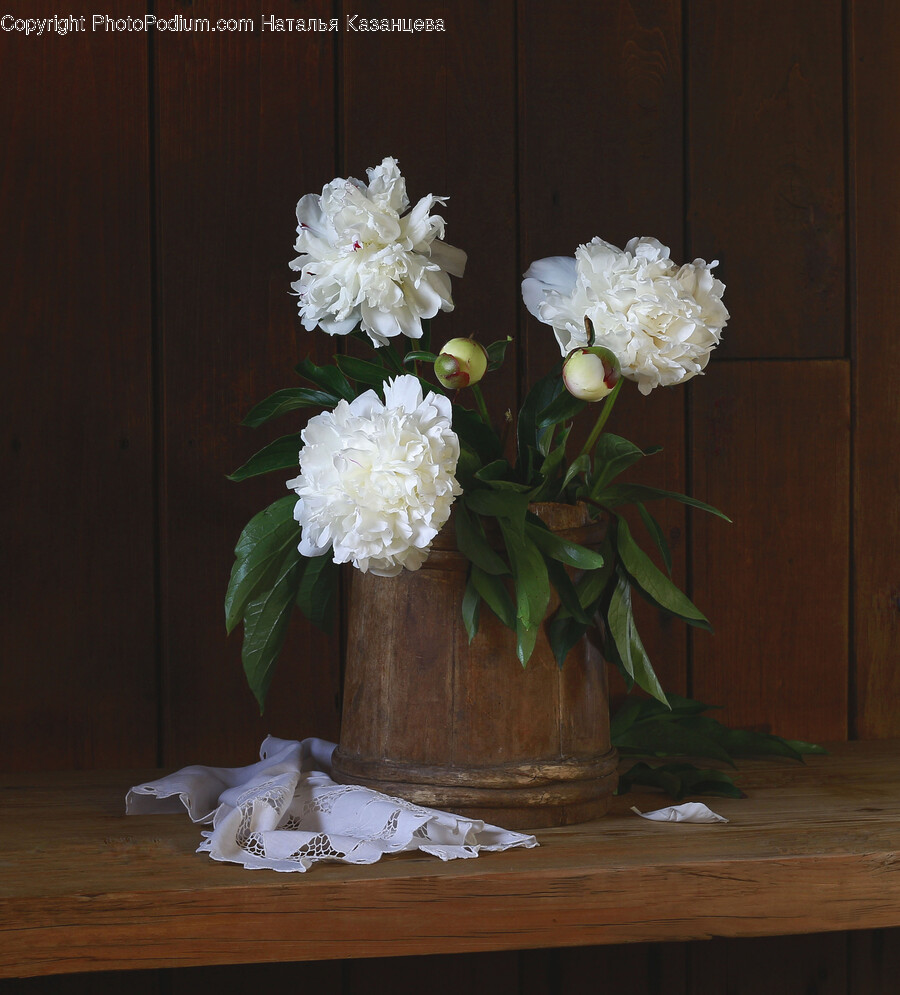 Plant, Wood, Flower, Blossom, Flower Bouquet