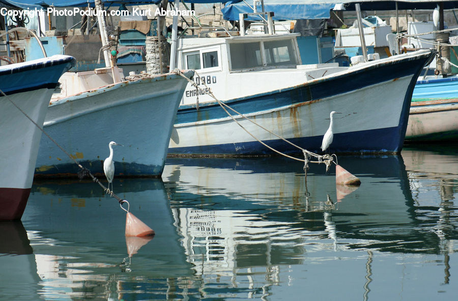 Boat, Watercraft, Dinghy, Dock, Port, Waterfront, Yacht