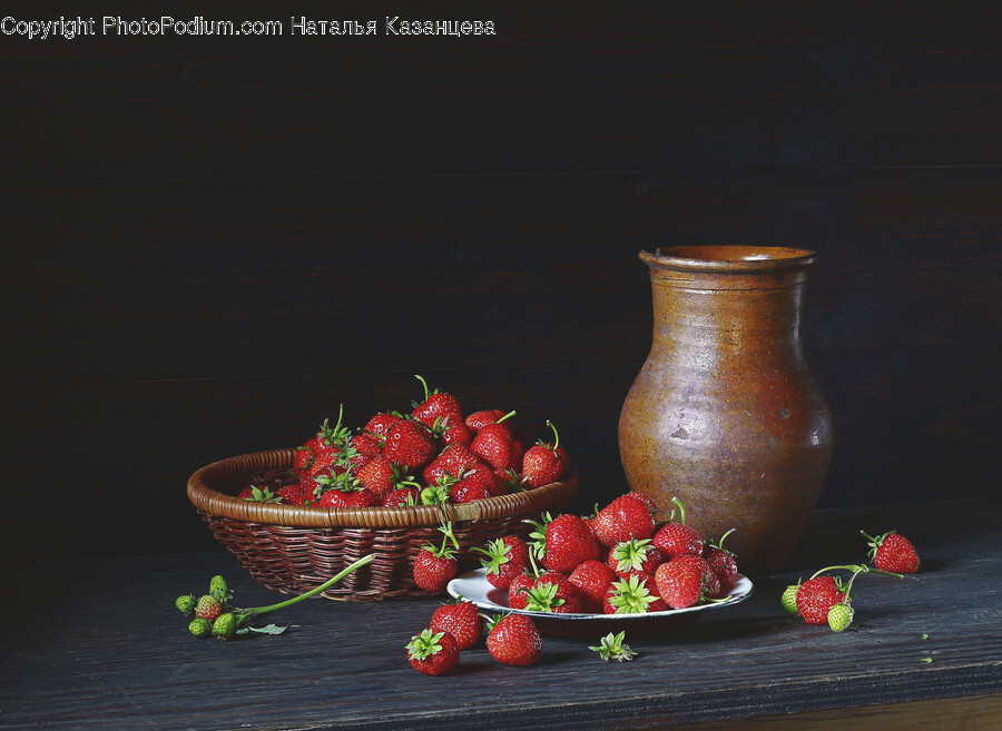 Plant, Petal, Flower, Blossom, Pottery