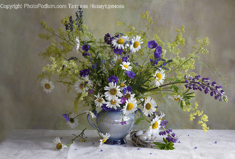Plant, Flower, Blossom, Ikebana, Ornament