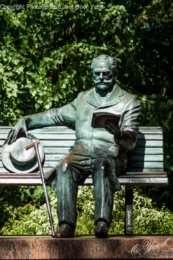 Furniture, Person, Human, Park Bench, Bench