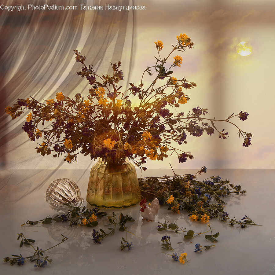 Plant, Ikebana, Flower Arrangement, Flower, Vase