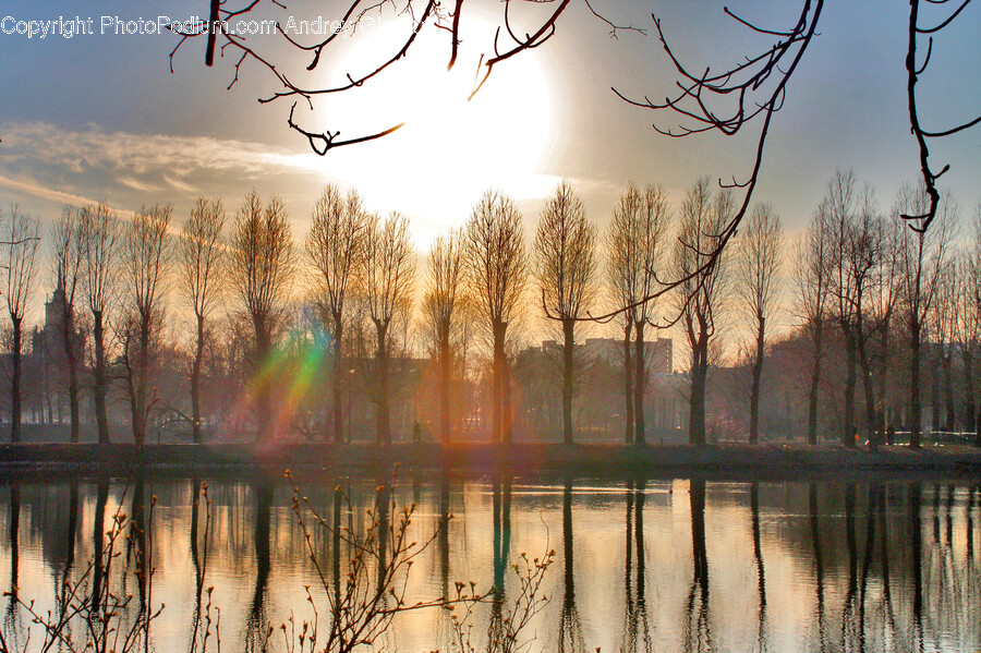 Flare, Light, Sunlight, Nature, Outdoors