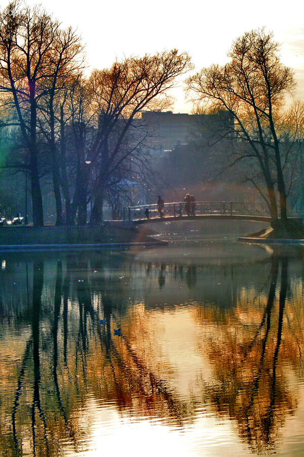 Nature, Outdoors, Water, Flare, Light