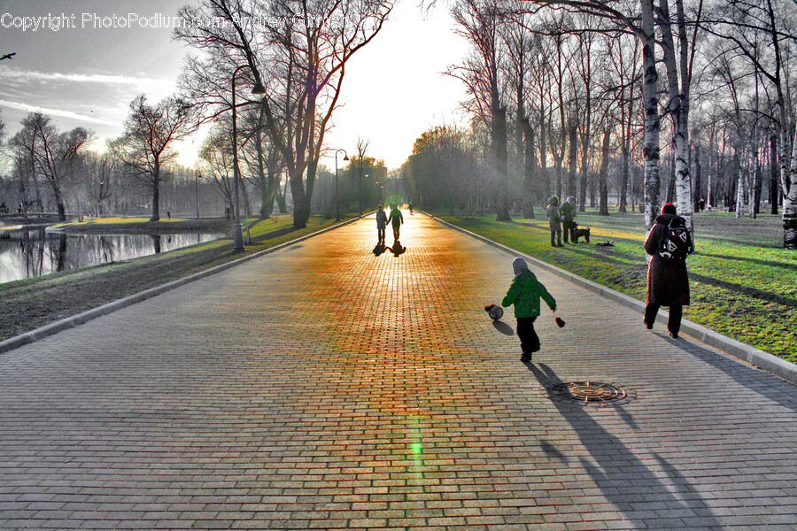 Path, Walkway, Person, Human, Pedestrian