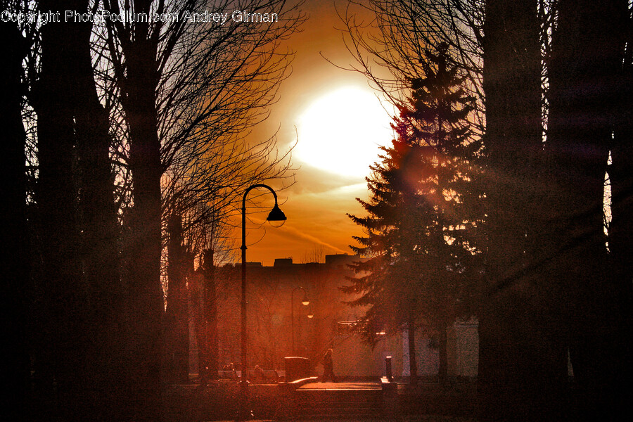 Flare, Light, Sunlight, Outdoors, Nature