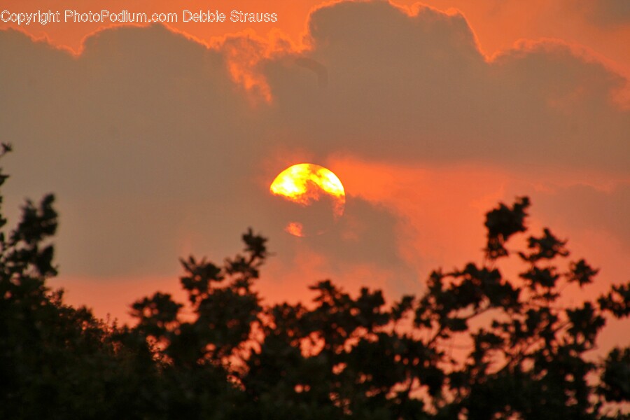 Nature, Outdoors, Sunlight, Sunset, Dusk