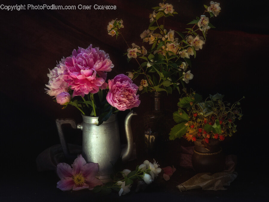 Plant, Flower, Blossom, Geranium, Flower Arrangement