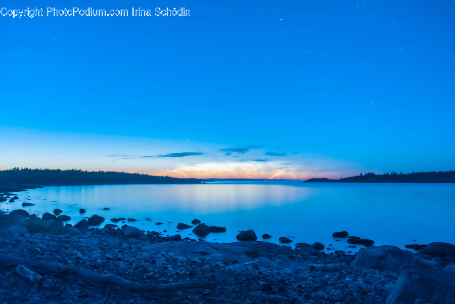 Nature, Outdoors, Water, Sky, Bird