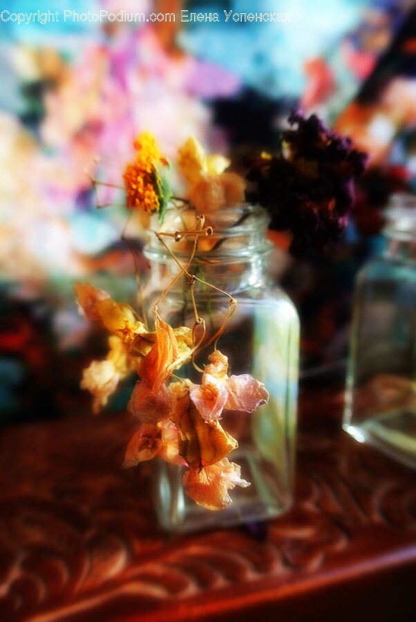 Plant, Person, Human, Jar, Flower Arrangement