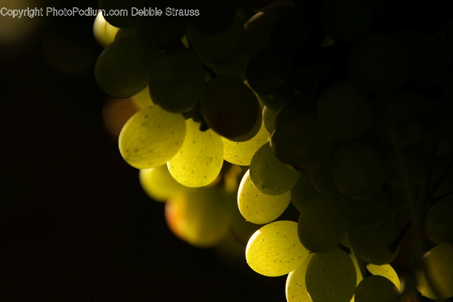 Grapes, Plant, Fruit, Food
