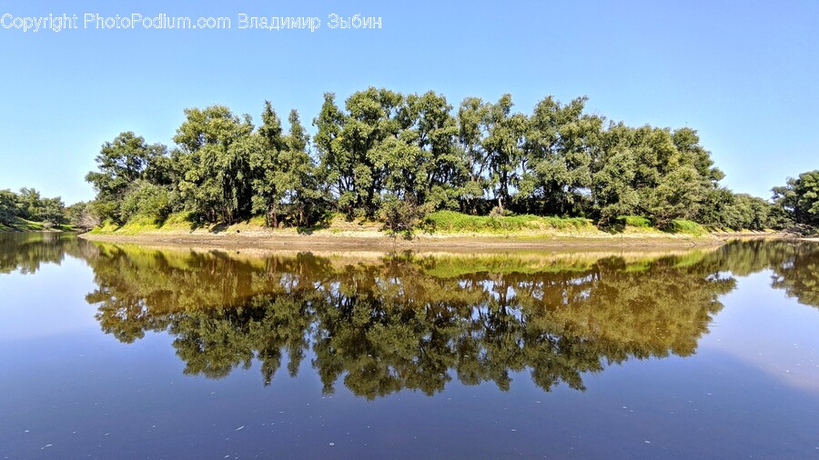 Water, Nature, Land, Outdoors, Tree
