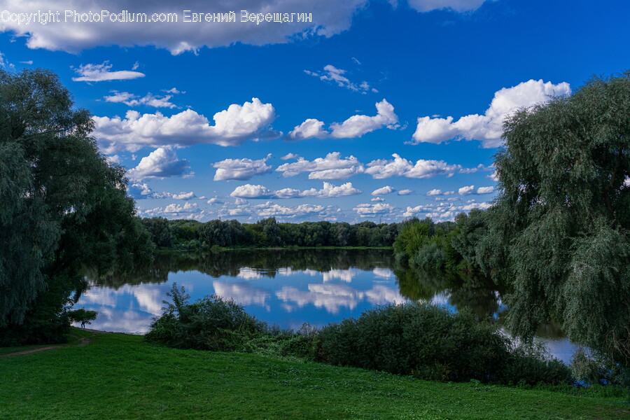 Nature, Outdoors, Water, Weather, Grass