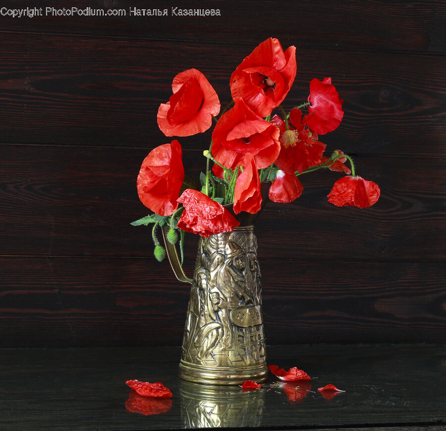 Plant, Flower, Blossom, Flower Arrangement, Flower Bouquet