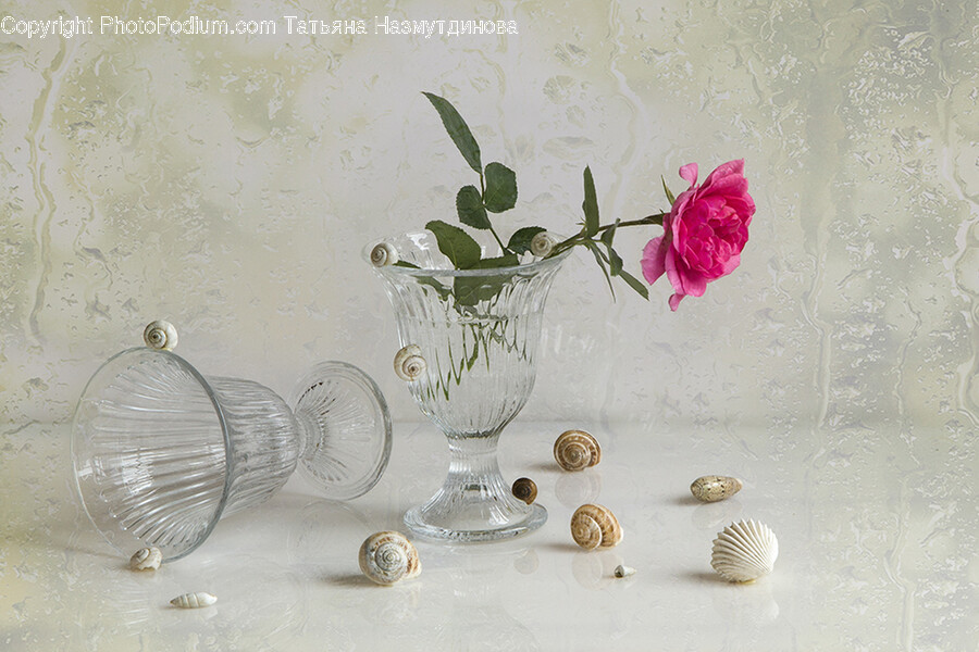 Light, Glass, Goblet, Lightbulb, Rose