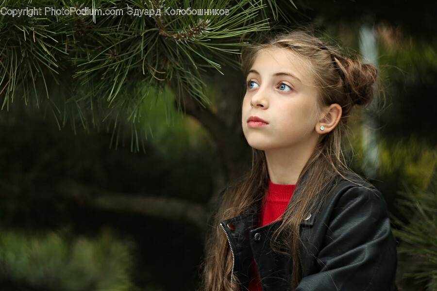 Clothing, Apparel, Person, Human, Tree