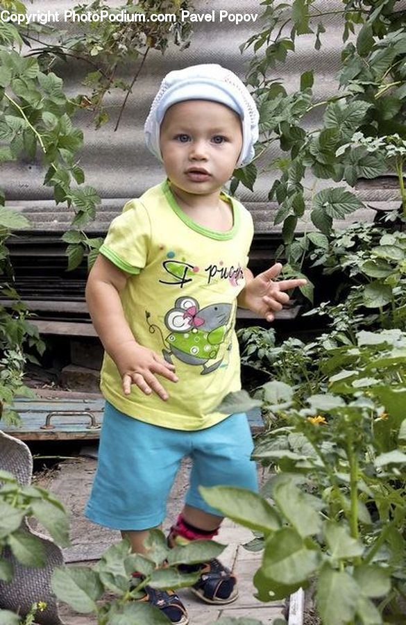 Plant, Potted Plant, Human, People, Person, Face, Portrait