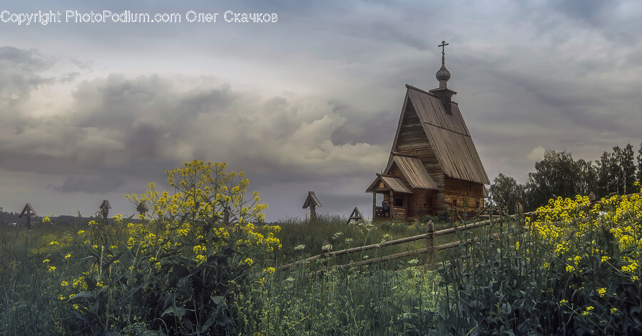 Nature, Outdoors, Spire, Steeple, Building