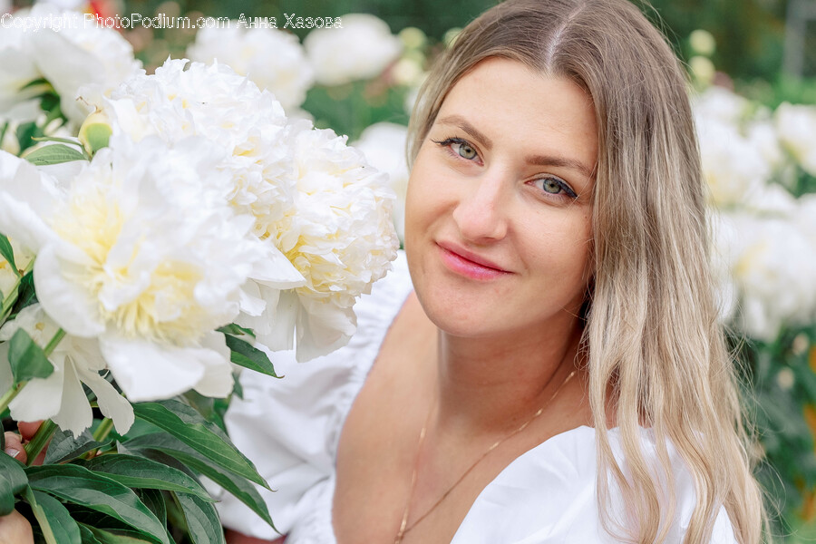 Plant, Flower, Blossom, Person, Human