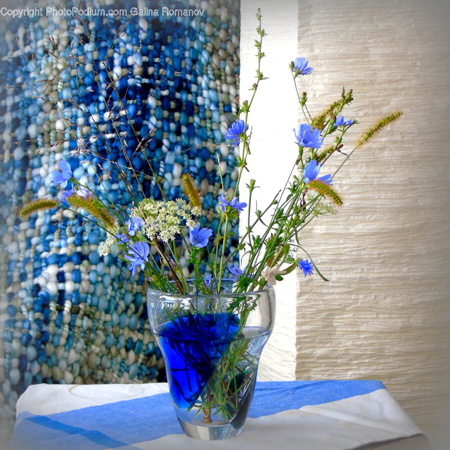 Plant, Ikebana, Vase, Flower Arrangement, Flower