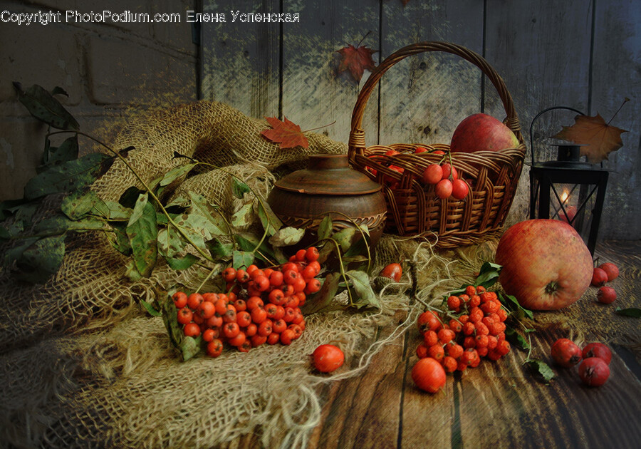 Apple, Plant, Fruit, Food, Produce