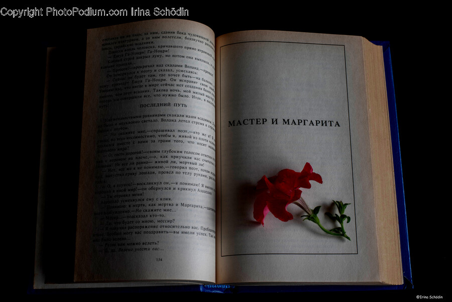 Book, Text, Flower, Blossom, Plant