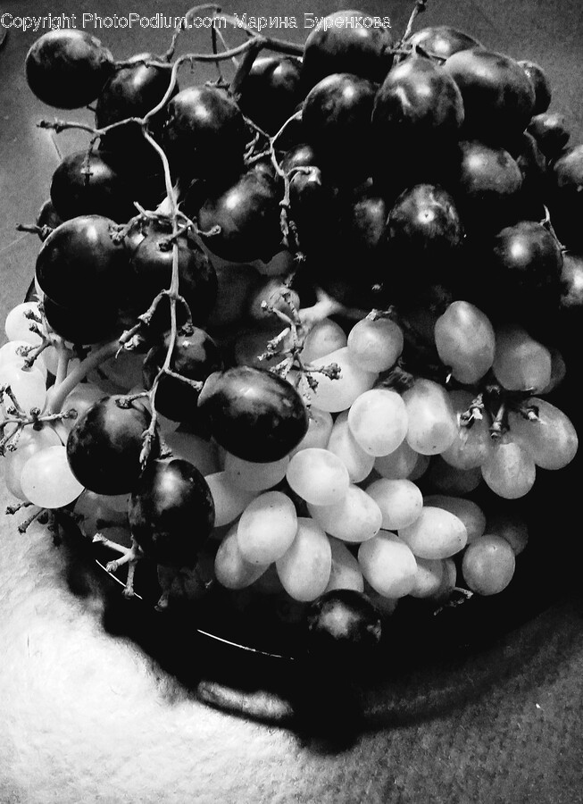 Plant, Grapes, Fruit, Food