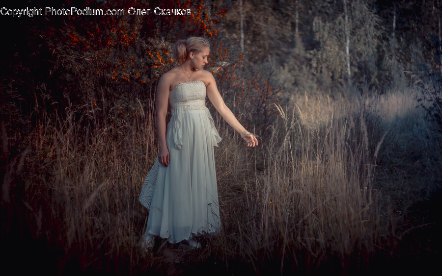 Clothing, Apparel, Evening Dress, Robe, Gown
